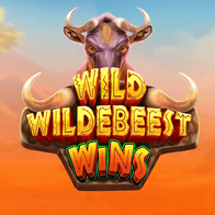 Wild Wildebeest Wins screenshot